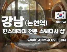 강남 논현역 [한스테라피] 이미지