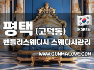 평택 고덕동 [벤틀리스웨디시] 이미지
