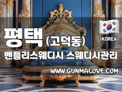 평택 고덕동 [벤틀리스웨디시] 이미지