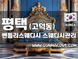 평택 고덕동 [벤틀리스웨디시] 이미지