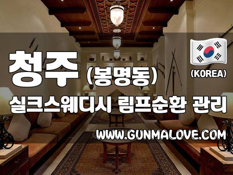 청주 봉명동 [실크스웨디시] 이미지