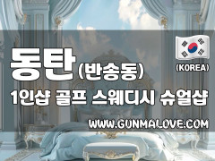 동탄 반송동 1인샵 [골프] 이미지