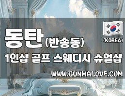 동탄 반송동 1인샵 [골프] 이미지
