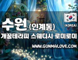 수원 인계동 [개꿀테라피] 이미지