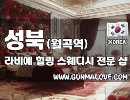 성북 월곡역 [라비에] 이미지