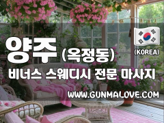 양주 옥정동 [비너스] 이미지