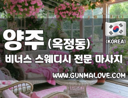 양주 옥정동 [비너스] 이미지