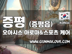 증평 증평읍 [오아시스] 이미지