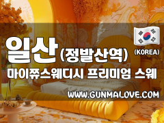 일산 정발산역 [마이쮸스웨디시] 이미지