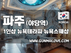 파주 야당역 1인샵 [뉴욕테라피] 이미지