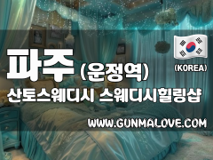 파주 운정역 [산토스웨디시] 이미지