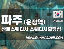 파주 운정역 [산토스웨디시] 이미지