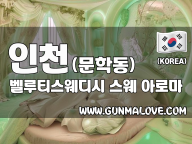 인천 문학동 [벨루티스웨디시] 이미지