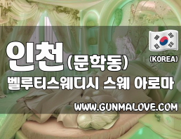 인천 문학동 [벨루티스웨디시] 이미지
