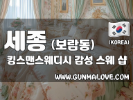 세종 보람동 [킹스맨스웨디시] 이미지