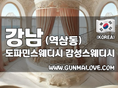 강남 역삼역 [도파민스웨디시] 이미지