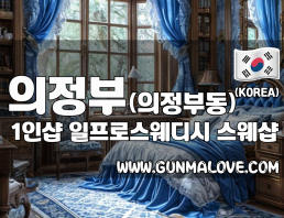 의정부 의정부동 [일프로스웨디시] 마사지