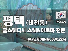 평택 비전동 [쿨스웨디시] 이미지