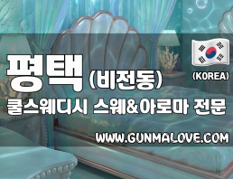 평택 비전동 [쿨스웨디시] 이미지
