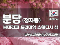 분당 정자동 정자역 [봄테라피] 이미지