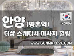 안양 평촌역 [더샵스웨디시] 이미지