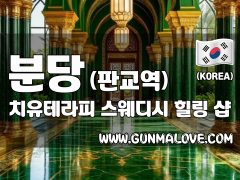 분당 판교역 [치유테라피] 이미지