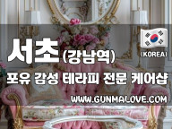 서초 강남역 [4U] 이미지