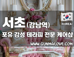 서초 강남역 [포유] 이미지