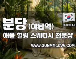 분당 야탑역 [애플] 이미지