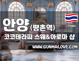안양 평촌역 [코코테라피] 이미지