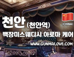 천안 천안역 [백장미스웨디시] 이미지