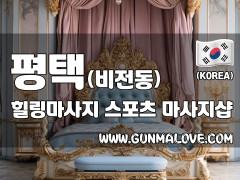 평택 비전동 [힐링마사지] 이미지