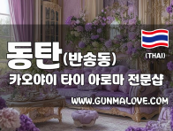 동탄 반송동 [카오야이] 이미지