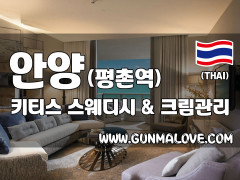 안양 평촌역 [키티스] 이미지