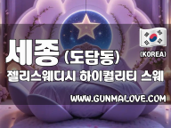 세종 도담동 [젤리스웨디시] 이미지