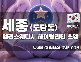 세종 도담동 [젤리스웨디시] 이미지