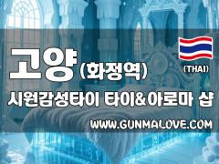 고양 화정역 [시원감성타이] 이미지
