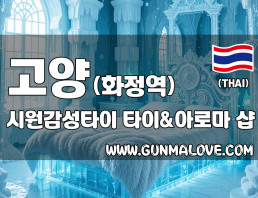 고양 화정역 [시원감성타이] 이미지