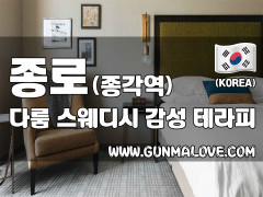 종로 종각역 [다룸스웨디시] 이미지