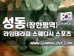 성동 장한평역 [라임테라피] 이미지