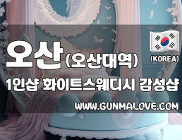 오산 오산대역 1인샵 [화이트스웨디시] 이미지