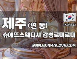 제주 연동 [슈에뜨스웨디시] 이미지