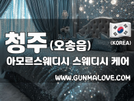 청주 오송읍 [아모르스웨디시] 이미지