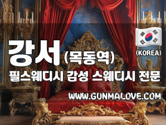 강서 목동역 [필스웨디시] 이미지