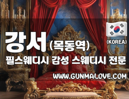 강서 목동역 [필스웨디시] 이미지