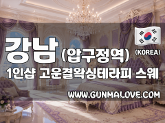 강남 압구정역 1인샵 [고운결왁싱테라피] 이미지