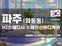 파주 와동동 [H2스웨디시] 이미지