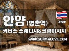 안양 평촌역 [키티스] 이미지