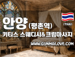 안양 평촌역 [키티스] 이미지