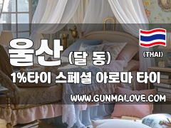 울산 달동 [1프로타이] 이미지